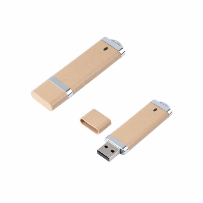 USB Flash Drive Washington Eco,  