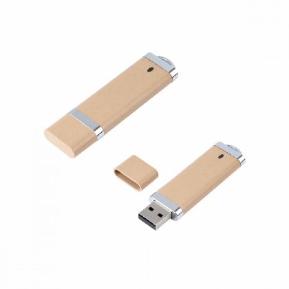 USB Flash Drive Washington Eco,  