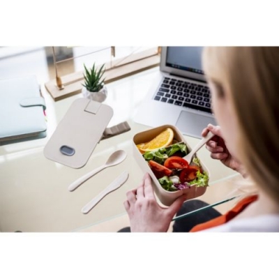 Кутии пластмасова кутия за хранене